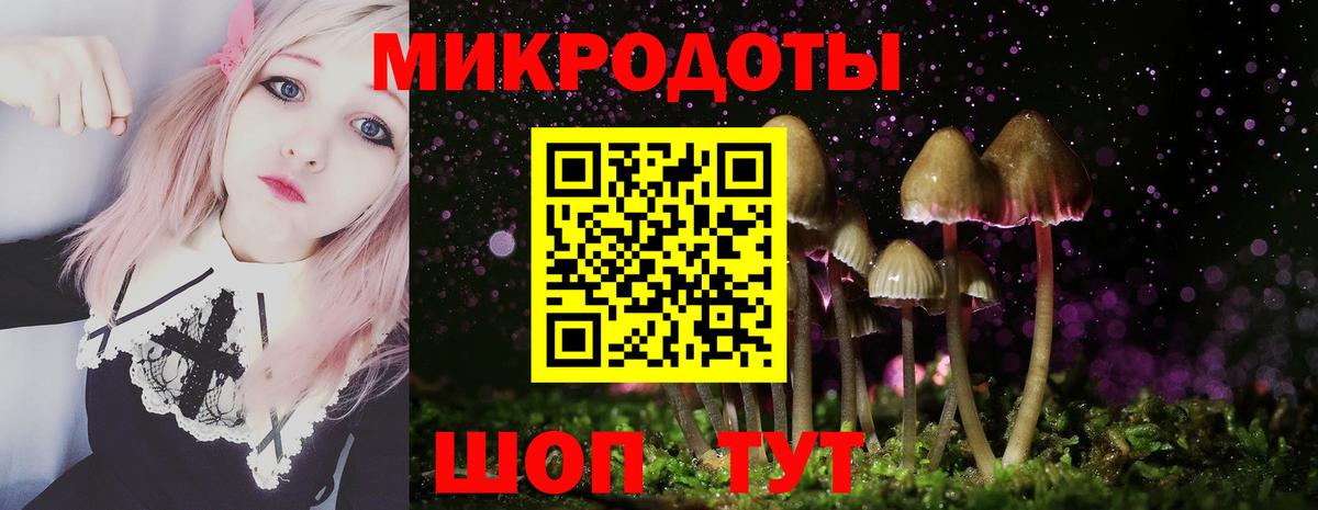 Псилоцибиновые грибы мухоморы Калач-на-Дону